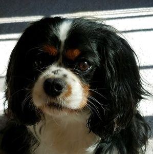 Meet your Posher, Kathy